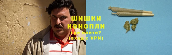 бошки Дмитров