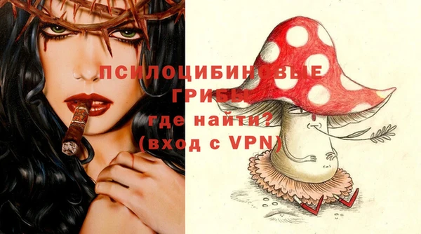 бошки Дмитров