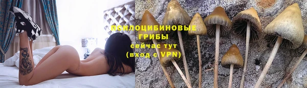 MESCALINE Дмитриев