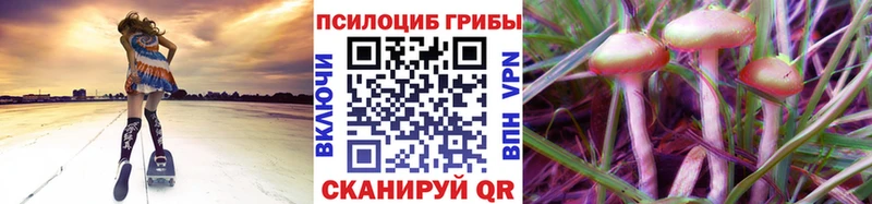 Псилоцибиновые грибы Psilocybine cubensis  Купить где  Обь 